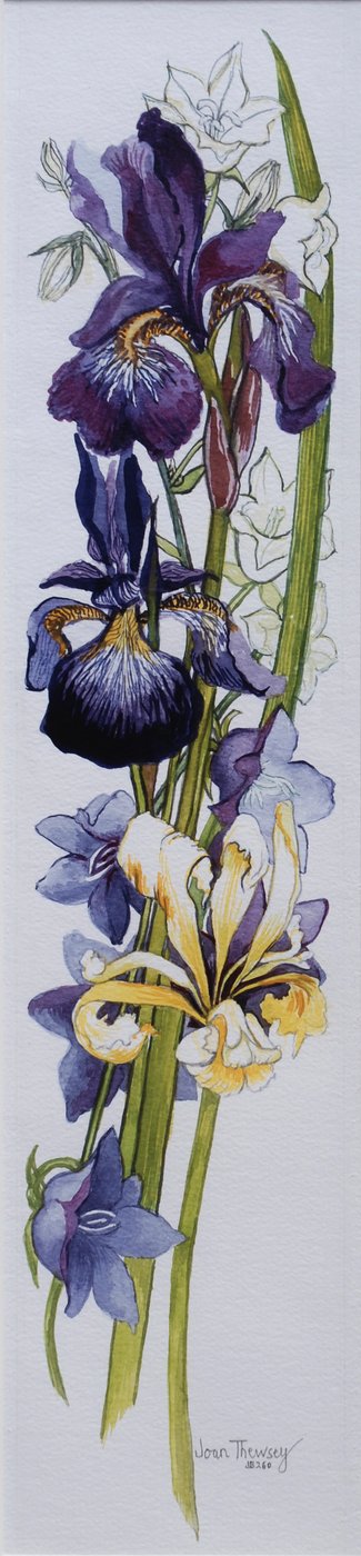 Purple and Yellow Irises with White and Mauve Campanulas, 2013 by Joan Thewsey